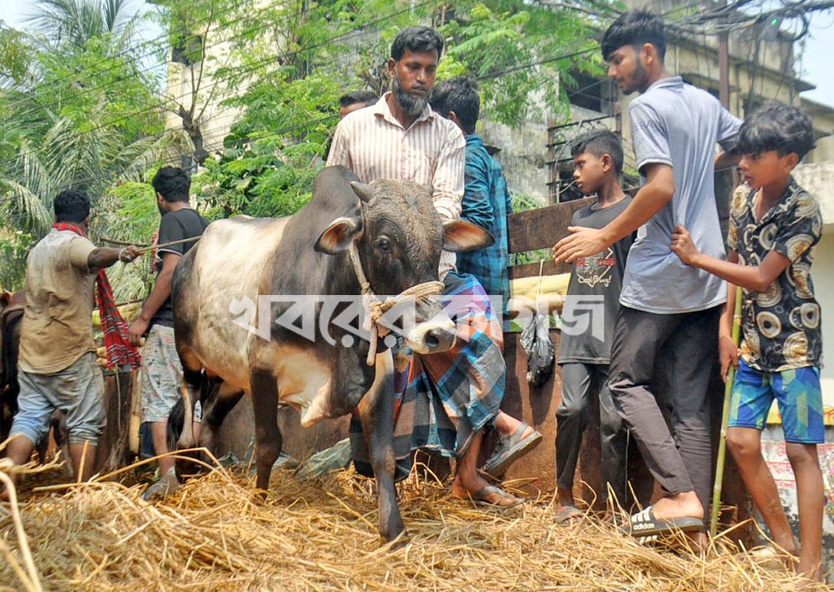 মালিবাগ রেল লাইন